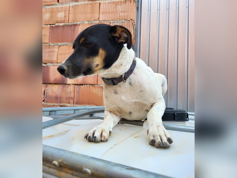 Redford - offen, sozial und lernwillig