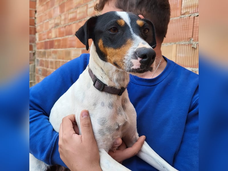 Maite - freundlich und liebenswert