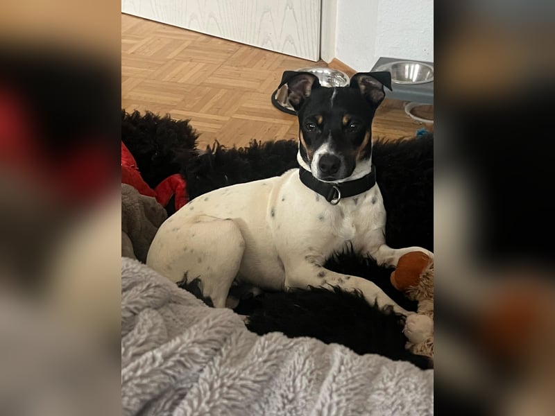 Redford - offen, sozial und lernwillig