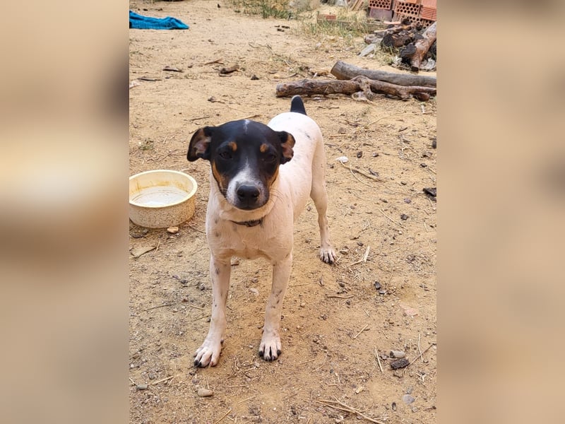 Redford - offen, sozial und lernwillig