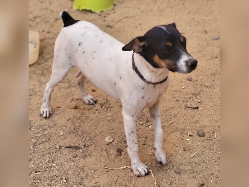 Redford - offen, sozial und lernwillig