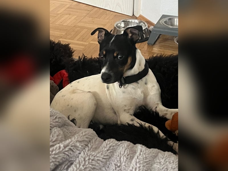 Redford - offen, sozial und lernwillig