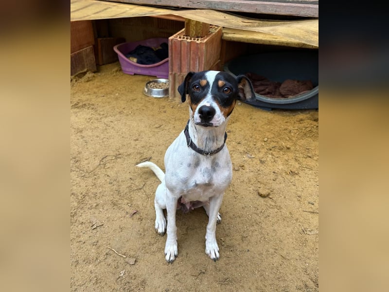 Maite - freundlich und liebenswert