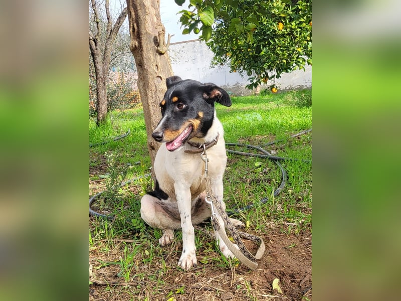 BRISA ❤️ kleine Frohnatur, Pflegefamilie Immenhausen