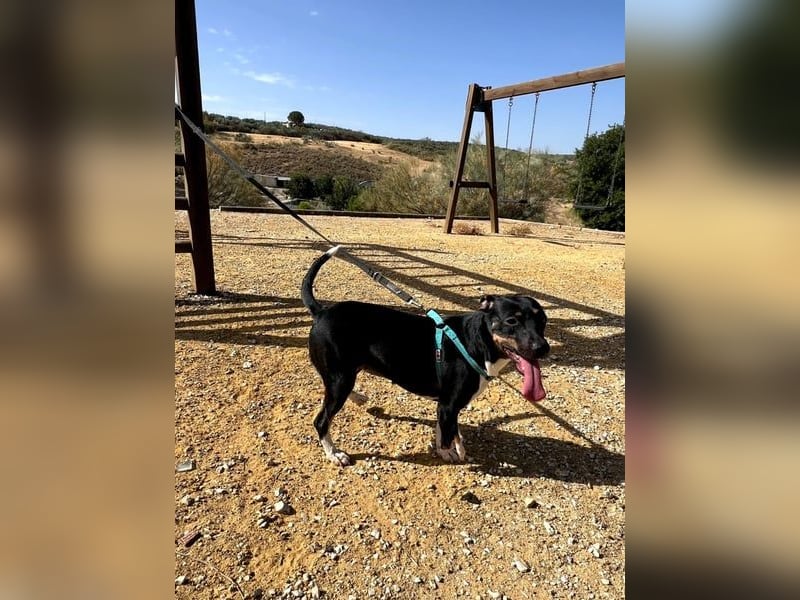 Lucrecia, hofft auf ein Weihnachtswunder