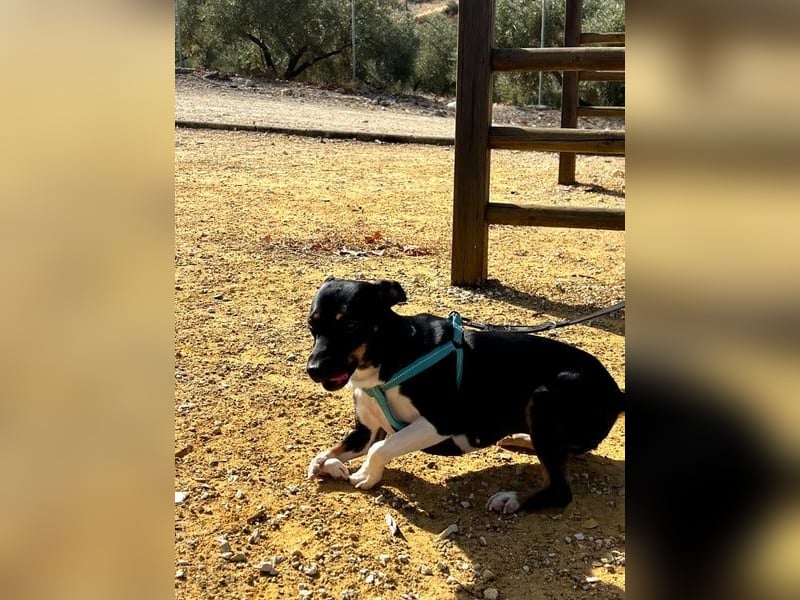 Lucrecia, hofft auf ein Weihnachtswunder