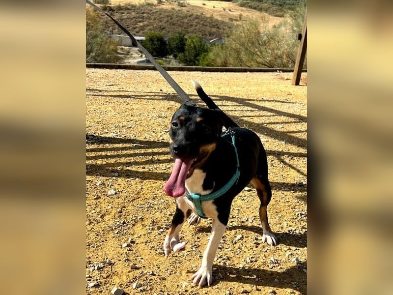 Lucrecia, hofft auf ein Weihnachtswunder