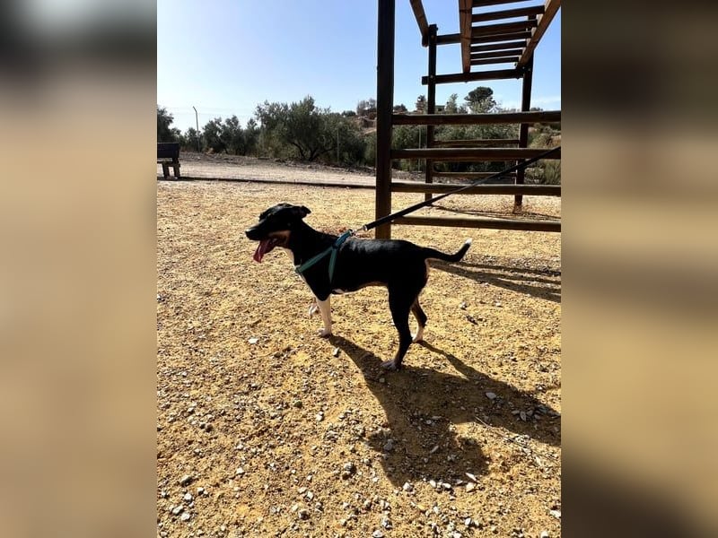 Lucrecia, hofft auf ein Weihnachtswunder