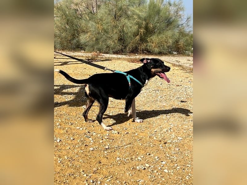 Lucrecia, hofft auf ein Weihnachtswunder