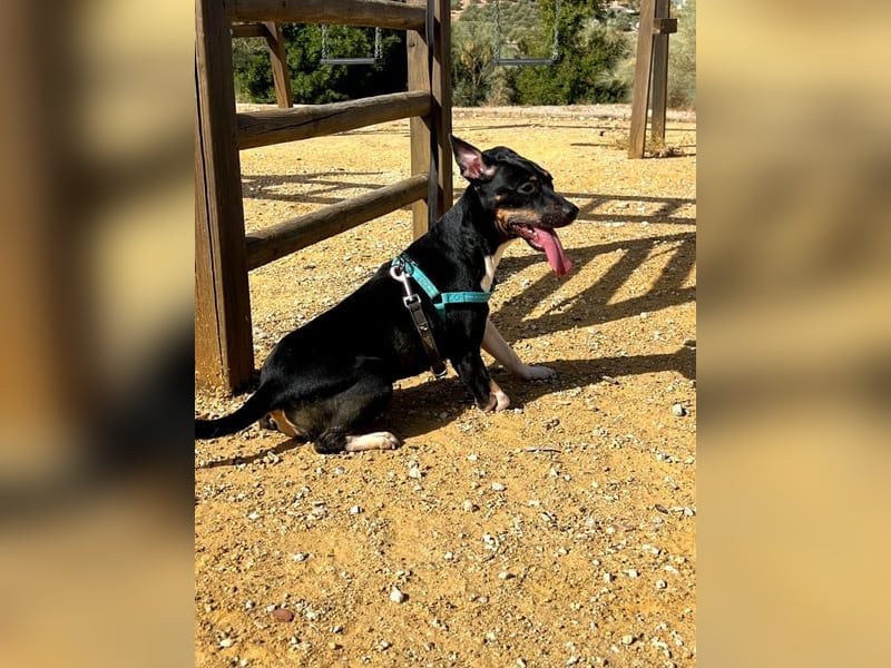 Lucrecia, hofft auf ein Weihnachtswunder