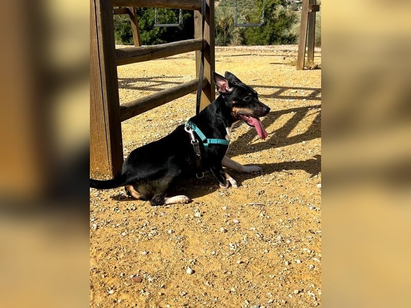 Lucrecia, hofft auf ein Weihnachtswunder