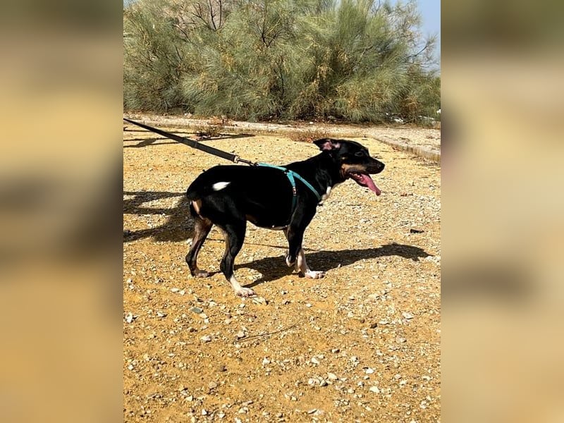 Lucrecia, hofft auf ein Weihnachtswunder