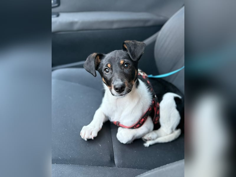 Nena, bringt gute Laune nach Hause