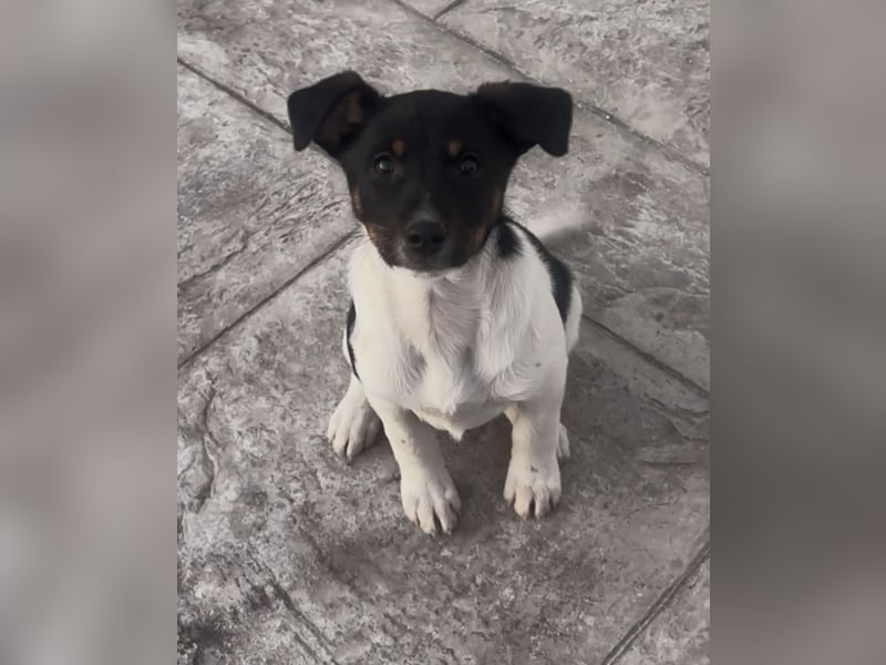 Nena, bringt gute Laune nach Hause