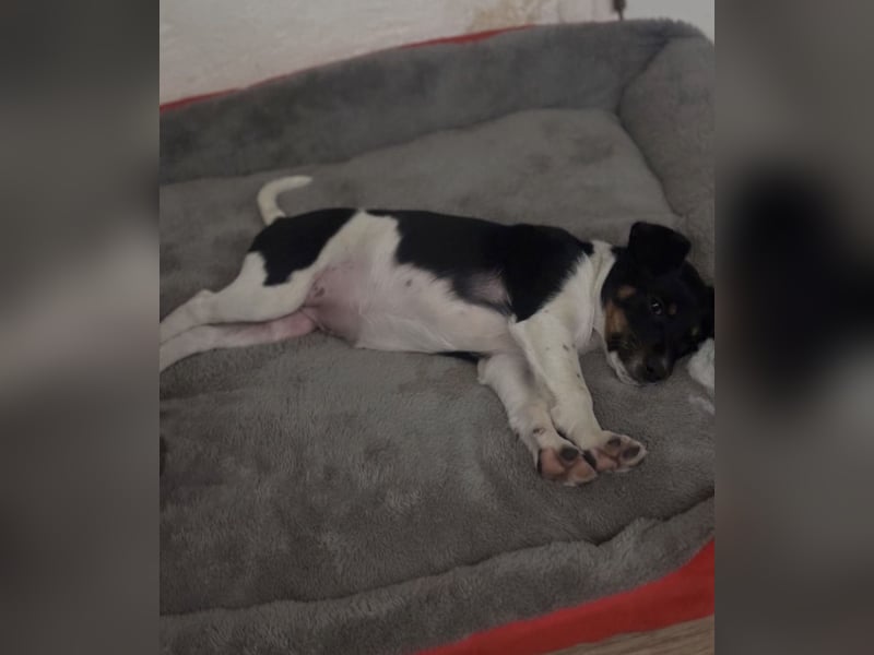 Nena, bringt gute Laune nach Hause