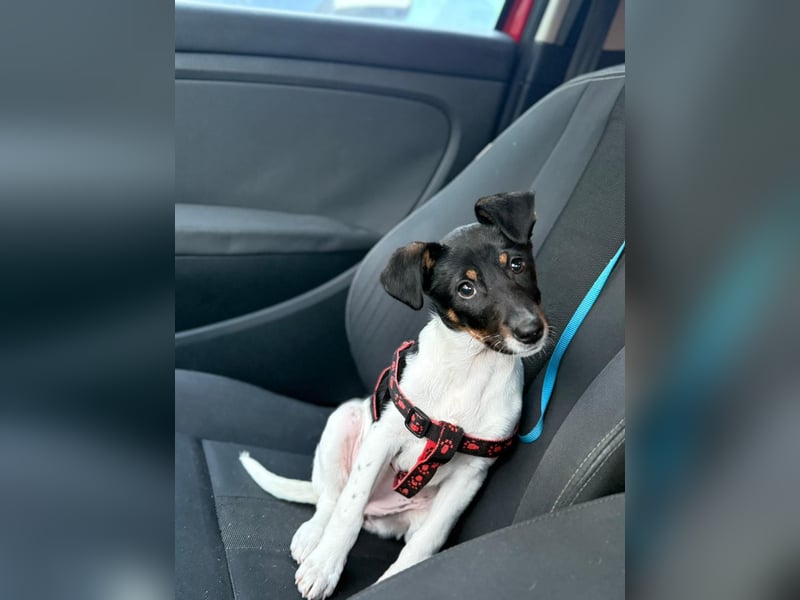 Nena, bringt gute Laune nach Hause