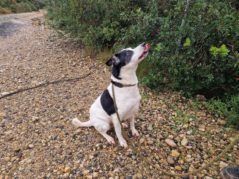 Seniorin FIORELLA - NOTFALL