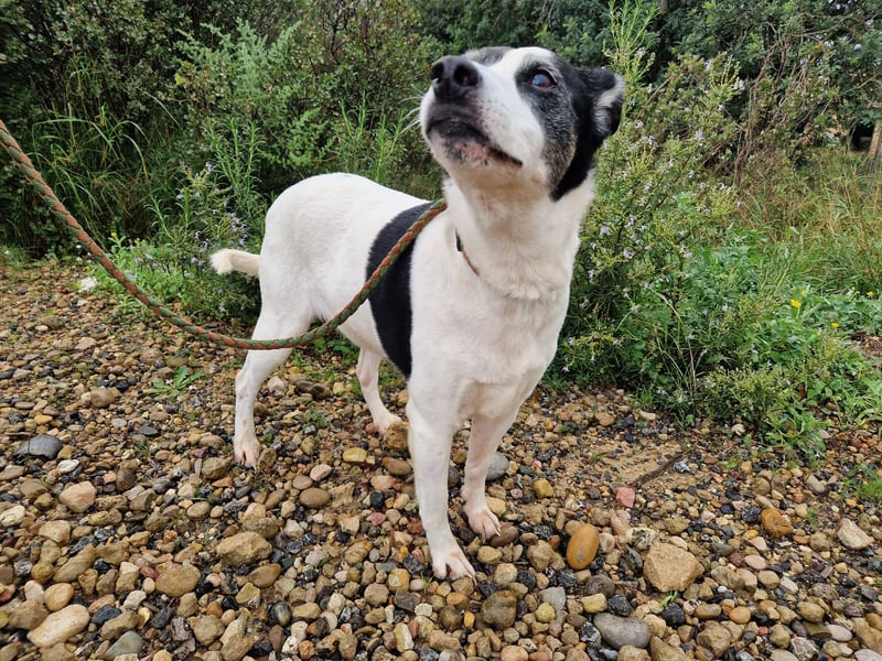 Seniorin FIORELLA - NOTFALL