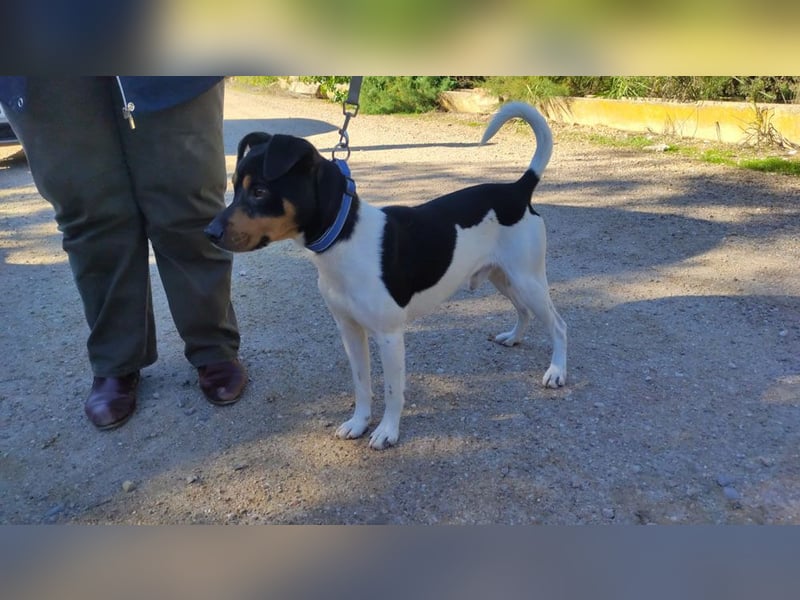 YAGO-fröhlicher Herzenshund sucht Nähe und liebevolles Zuhause