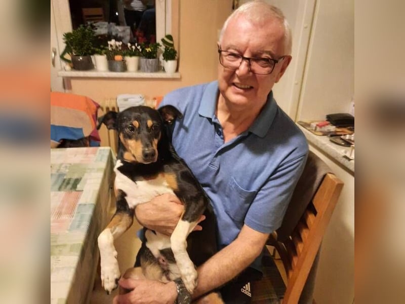 Rocco – ein idealer Begleiter in allen Lebenslagen