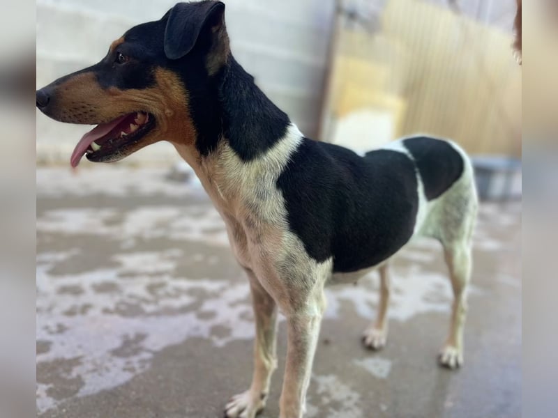 Lena