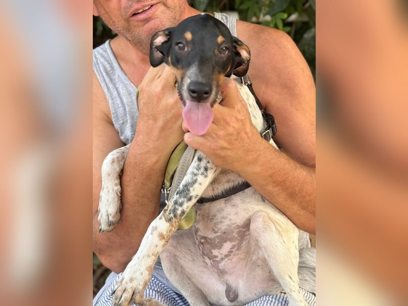 Giuseppe sucht liebevolle Menschen Giuseppe sucht liebevolle Menschen