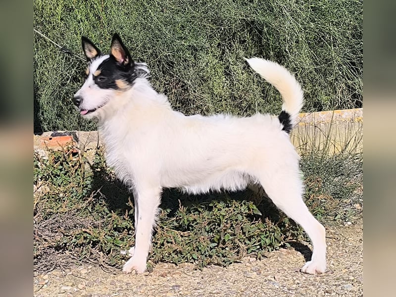 Gaton - freundlich und sozial