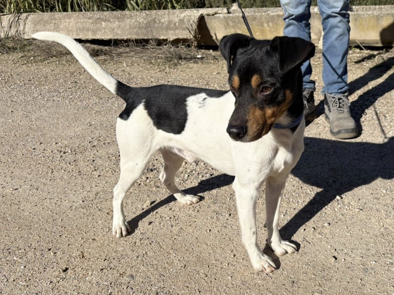 Yago - sozial und freundlich