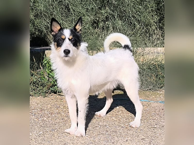 Gaton - freundlich und sozial