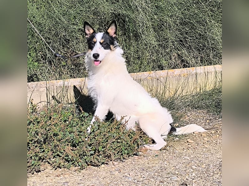 Gaton - freundlich und sozial