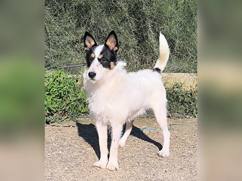 Gaton - freundlich und sozial