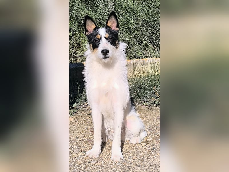 Gaton - freundlich und sozial