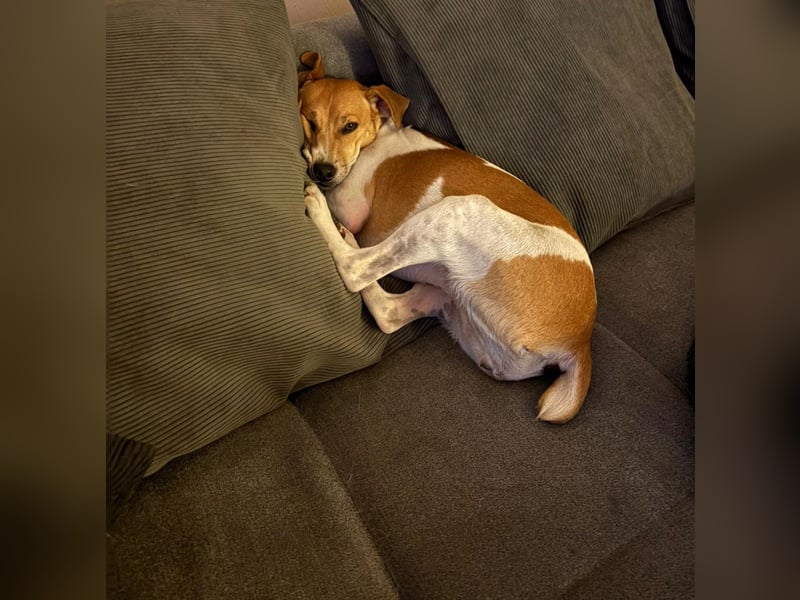 Frida sucht das Glück