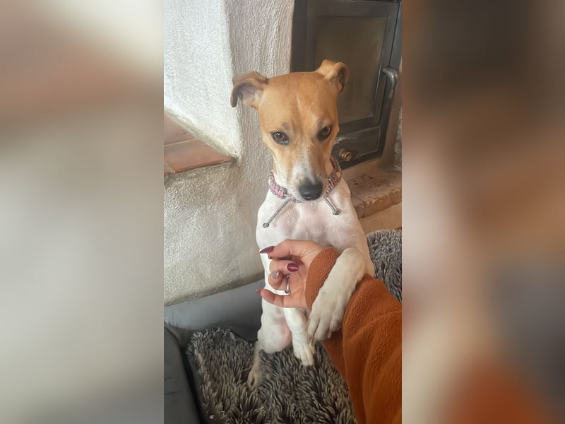 Frida sucht das Glück