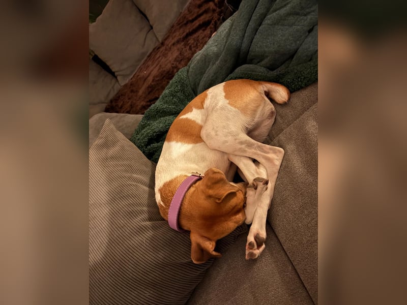 Frida sucht das Glück