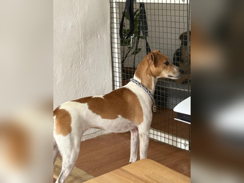 Frida sucht das Glück