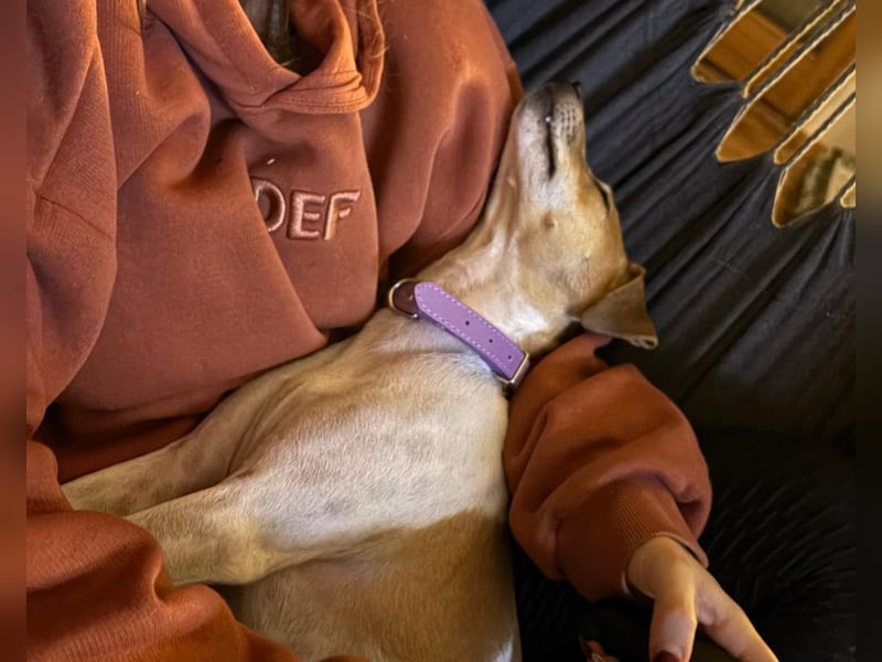 Frida sucht das Glück