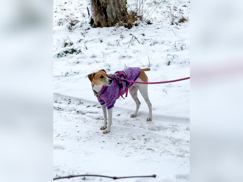 Frida sucht das Glück