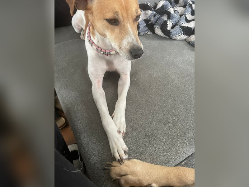 Frida sucht das Glück