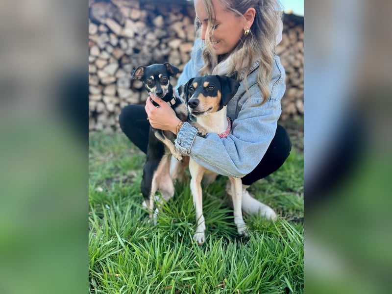 Luna - Sensible Begleiterin sucht Zuhause im Doppelpack