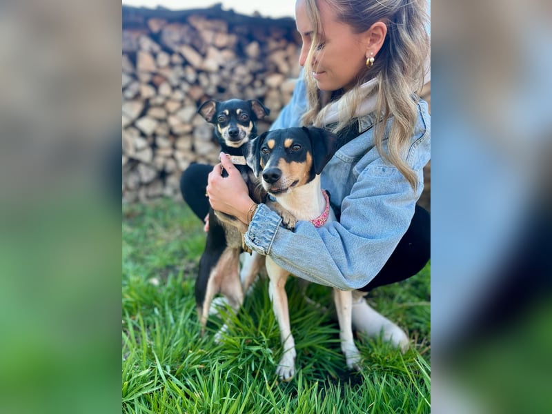 Luna - Sensible Begleiterin sucht Zuhause im Doppelpack