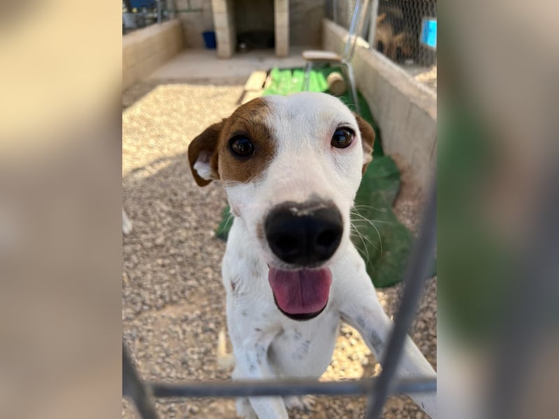 Lucky, wann bekommt er seine Chance?