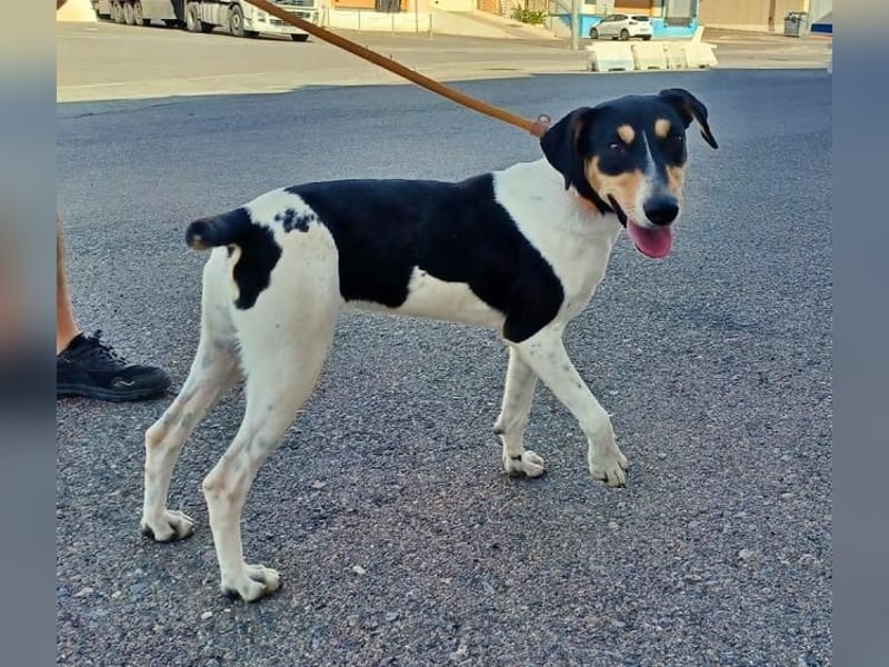 DOROTHY das feine Mädchen