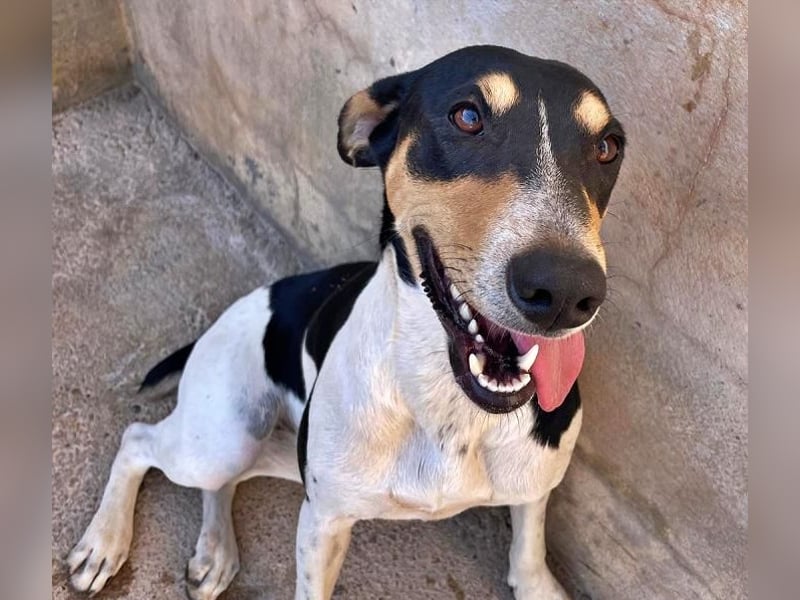 DOROTHY das feine Mädchen