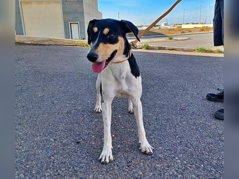 DOROTHY das feine Mädchen