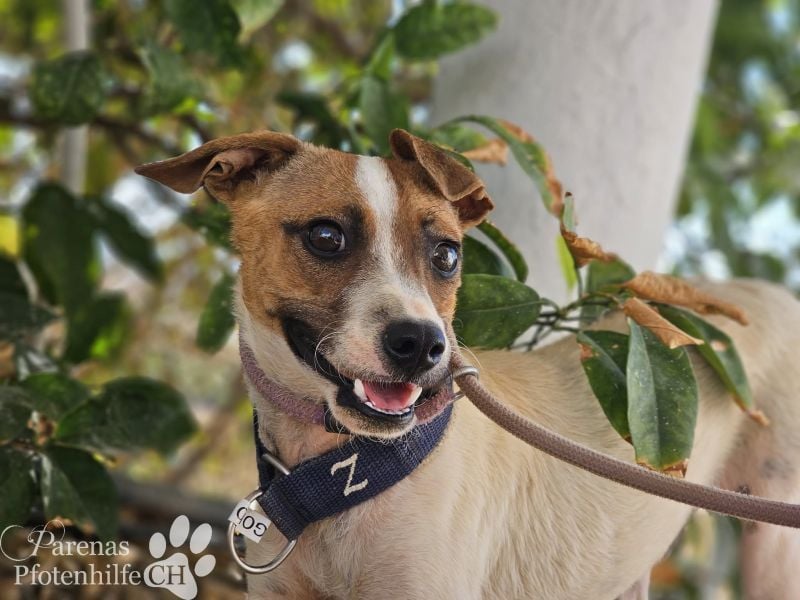 Gonzo braucht anfangs etwas Zeit