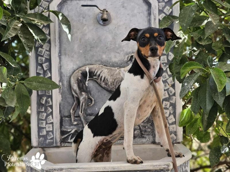 Heidi steckt voller Lebensfreude und Neugier