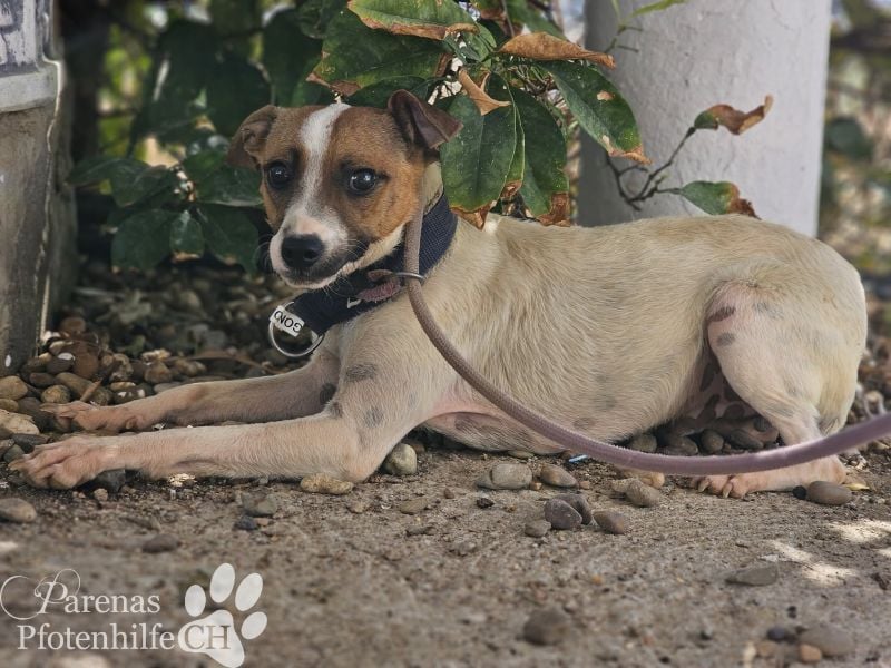 Gonzo braucht anfangs etwas Zeit