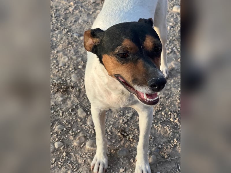 Pong, zurückhaltend aber sehr freundlich