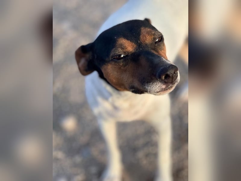 Pong, zurückhaltend aber sehr freundlich